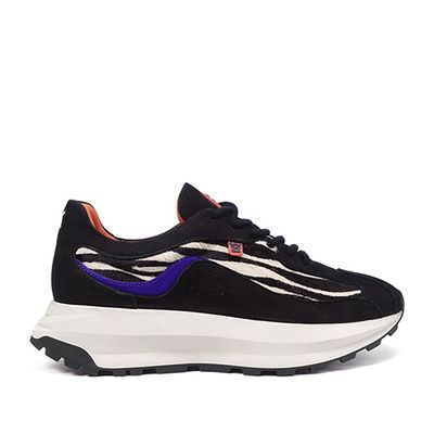 Runway 4503 Zebra