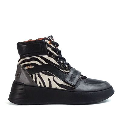 Re-Lite 6204 Zebra